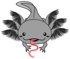 生きたイトミミズの餌を食べている黒いウーパールーパーのイラスト 