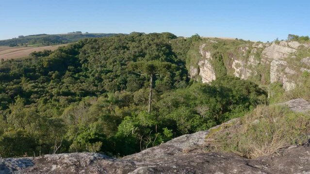 Sinkhole of the "Dolina Grande", Campos Gerais National Park, Ponta Grossa, Brazil