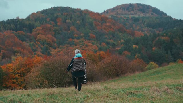 Medium shot of an older female Photographer with grey hair walking and taking pictures with her camera in nature surrounded by orange coloured trees during a cold windy autumn day in slow motion.