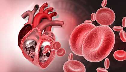 Human heart cross section antomy on scientific background. 3d illustration.. - obrazy, fototapety, plakaty