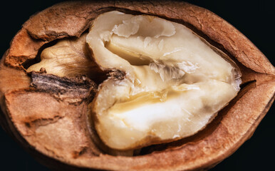 beautiful walnut, macro photo, close-up, on a black background