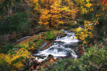 Wasserfall Ilsefälle im Harz mit Laubfärbung im Herbst