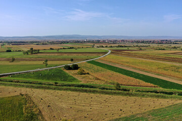 Fototapeta na wymiar Bird's eye view of agricultural fields, agronomic industry. Aerial drone view