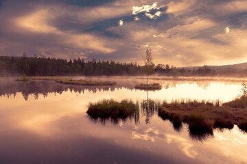 Fototapeta na wymiar Mountain Lake Laka in Sumava national park in Czech republic. Sunset sky. 