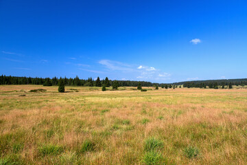 Summer landscape with blue sky. Bozi Dar, Czech Republic.