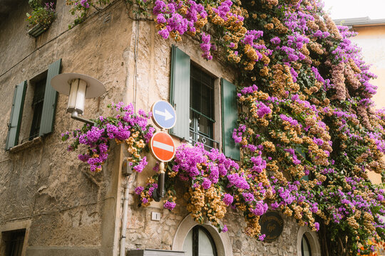 mit bunten Blumen bewachsenes Haus in Sirmione