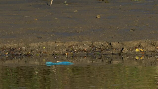 Garbage and plastic waste float on water - (4K)