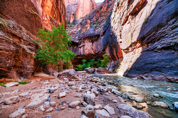 Zion National Park, Utah, USA, narrowing trail. Beautiful scenery, primeval nature, views of incredibly picturesque cliffs and mountains. Concept, tourism, travel, landmark