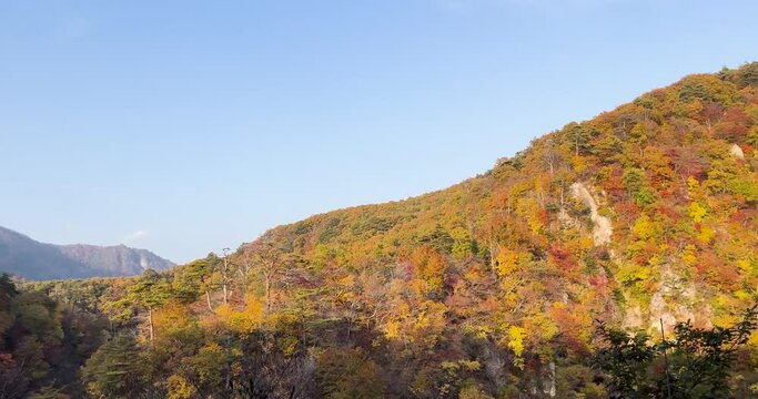Autumn leaves in Naruko Town located in Miyagi Prefecture, Japan