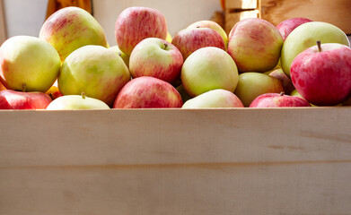 Wooden crate box full of fresh apples. Overhead view of fresh organic apples harvesting concept