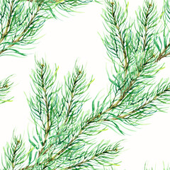 Naklejka premium Watercolor Christmas evergreen pine tree branch seamless pattern. Hand drawn texture for new year holiday packing, label, logo design on white background