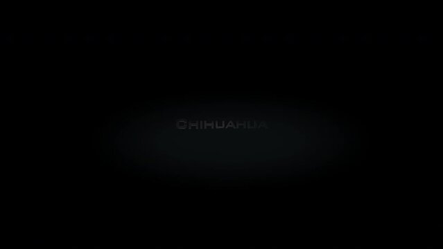 Chihuahua 3D title word made with metal animation text on transparent black
