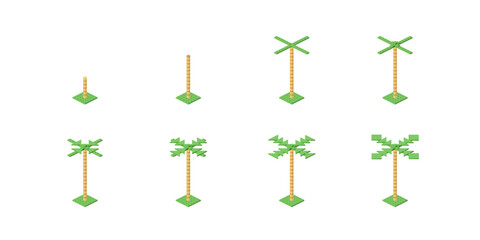 Step by step construction of a palm tree. Vector
