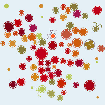 Haematococcus is a microalgae from Chlorophyta. This microalgae is well known for its high content of the strong antioxidant astaxanthin, which is important in food, aquaculture and cosmetics.