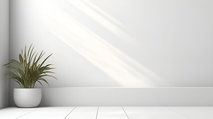 Play of Light and Shadow on a Wall, Engaging Presentation and Display Background with Copy Space