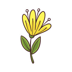 cute handdrawn flower vector
