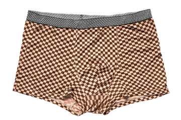 Brown boxers isolated