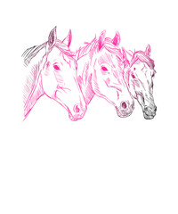 Handgezeichneter Pferdekopf von der Seite