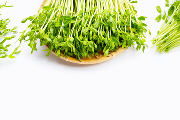 Pea Sprouts on white background.