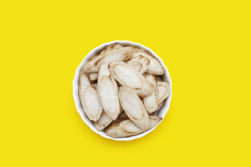 Burdock Root (Gobo) on yellow background.