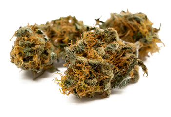 marihuana flower on white background