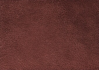 Leather texture background, brown leather material pattern close view square illustration