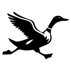 Flying Duck Vector silhouette illustration black color, Duck Vector silhouette