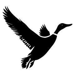 Flying Duck Vector silhouette illustration black color, Duck Vector silhouette