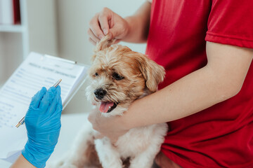Modern veterinary clinic: female veterinarian assesses dog's health Handsome dog owner helps calm...