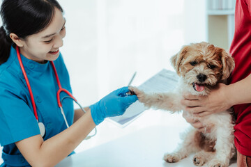 Modern veterinary clinic: female veterinarian assesses dog's health Handsome dog owner helps calm...