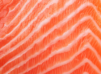Salmon fresh pink flesh texture or salmon fillet closeup.
