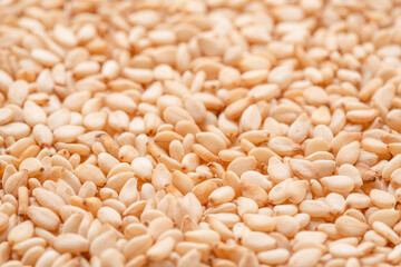 White sesame seeds closeup. Food background.