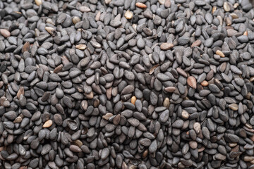 Black cumin seeds closeup. Food background.