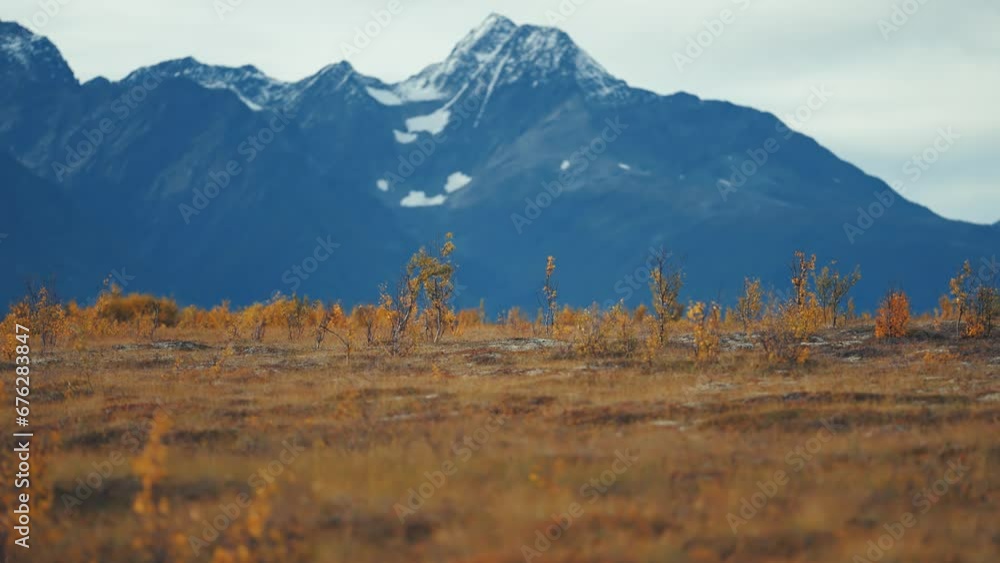 Poster autumn tundra landscape in the vast valley with snow-capped mountains towering in the background. sl