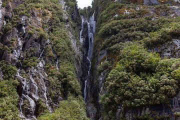 Westland Tai Poutini National Park, South Island, New Zealand