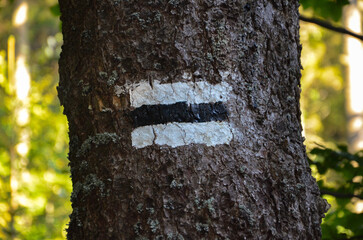 sign on the tree - obrazy, fototapety, plakaty