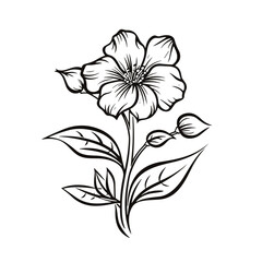 Obraz premium line drawing, line art png, line art prints, spring clipart, line art rose, rose clipart, floral svg, flower png, wildflower svg, flower clipart, bouquet svg, tattoo svg, line art, svg files, svg file