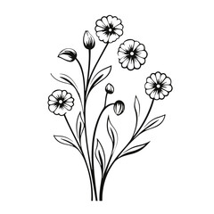 line drawing, line art png, line art prints, spring clipart, line art rose, rose clipart, floral svg, flower png, wildflower svg, flower clipart, bouquet svg, tattoo svg, line art, svg files, svg file