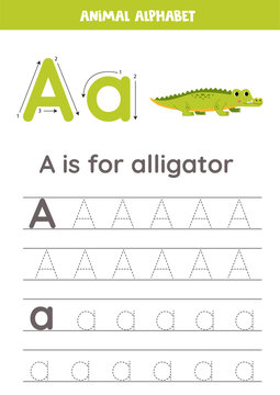 Tracing alphabet letters for kids. Animal alphabet. A is for alligator.