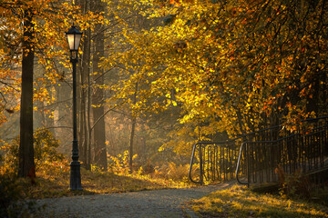 Jesienny poranek w parku.