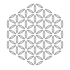 The Flower of Life Symbol. One of the basic sacred geometry shapes. Symmetry Vector illustration. - obrazy, fototapety, plakaty