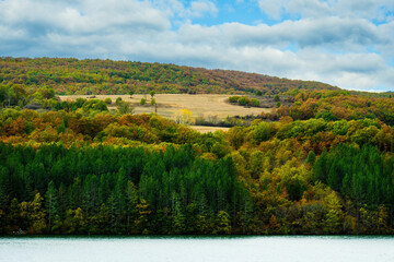 Sunny day in Autumn, trees with yellow orange, red leaves