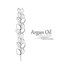 Hand drawn vector illustration.
Beautiful Argan tree design element.