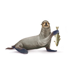 Obraz premium illustration d'un otarie qui tiens un poisson cabillaut dansa main