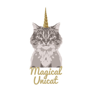 Magical unicat illustration, a mix of a cat with unicorn, vector illustration