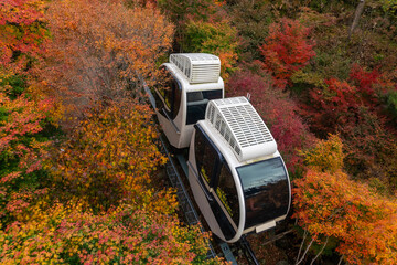 Monorail is running in mountain autumn landscape with colorful forest at Hwadan Botanic Garden in...