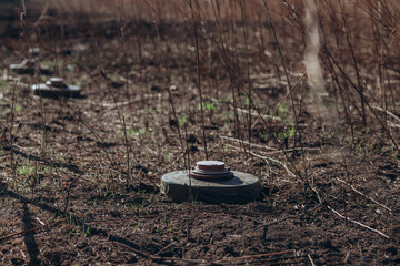Mykolaiv region, Ukraine - 10 October 2023. Anti-tank mines in high vegetation. Minefield on...