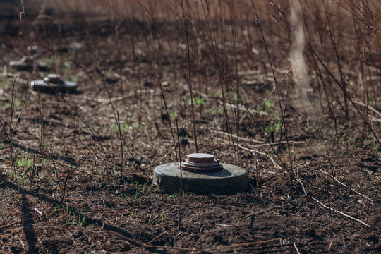 Mykolaiv region, Ukraine - 10 October 2023. Anti-tank mines in high vegetation. Minefield on wartime front lines. Explosive devices left in the field , invasion campaign in southern Ukraine, war