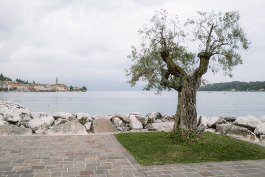 Hafen in Salo am Gardasee