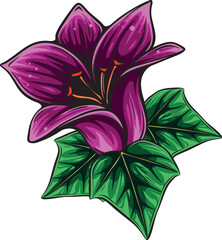 Grand Crinum Lily illustration.